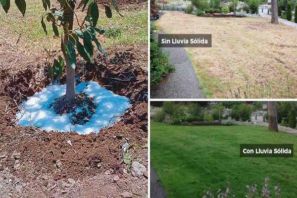 Lluvia solida en arboles y pasto