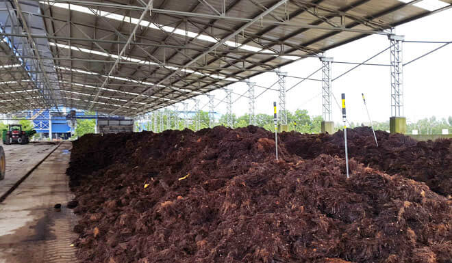 abono organico de lombriz