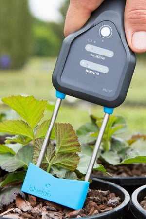 Bluelab Pulse Meter - Medidor de Humedad, Nutrientes y Temperatura