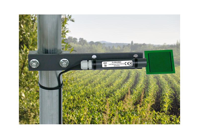 Hobo S-LWA-M003 - Sensor Inteligente de Humedad de Hoja