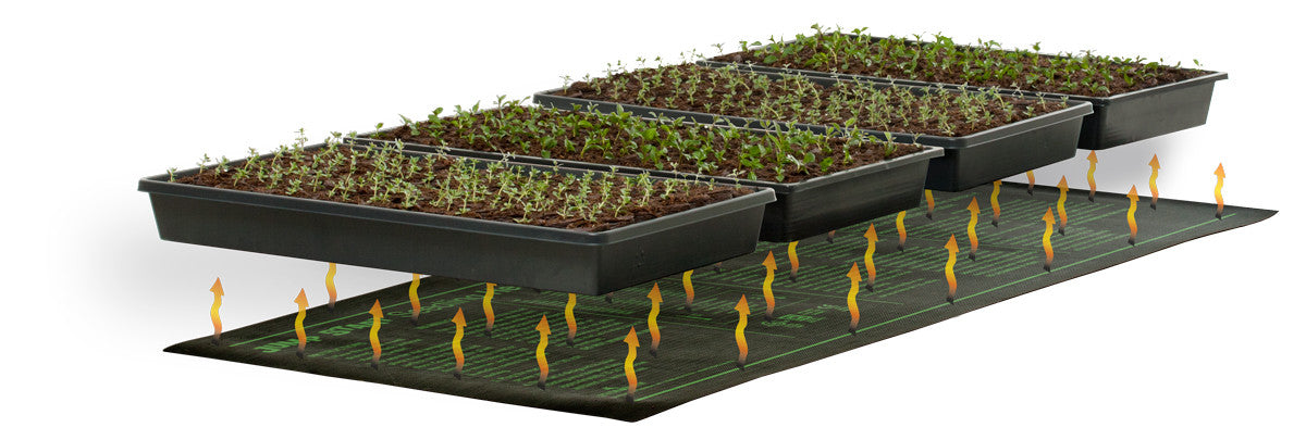 Tapetes termicos Hydrofarm para germinacion de semillas y plantulas