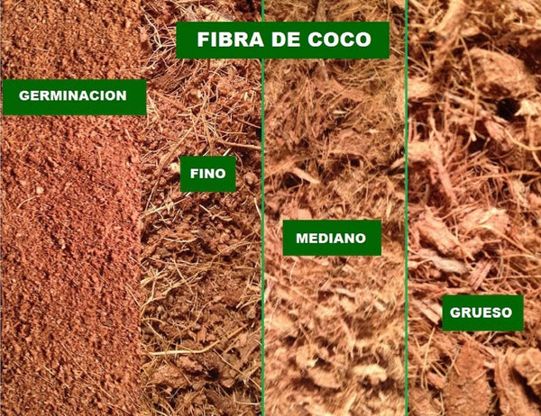 Fibra de coco, un sustrato agrícola con gran potencial