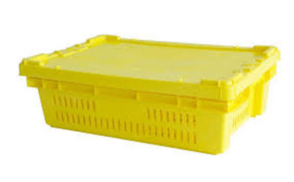 Caja o contenedor para pescado, pulpo o mariscos Mexico