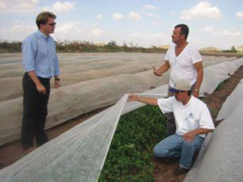 Agribon malla anti helada para cultivos