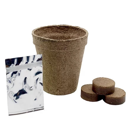 Kit de Siembra Cilantro Ipot