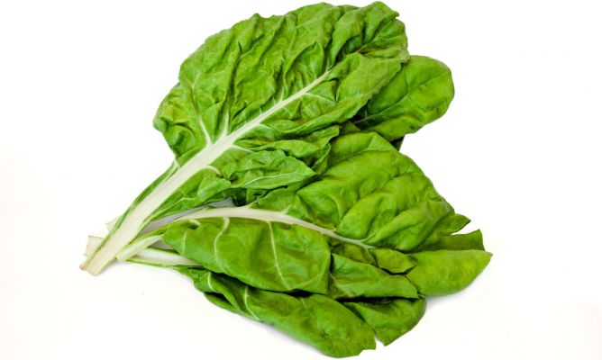 Semillas de Hortalizas