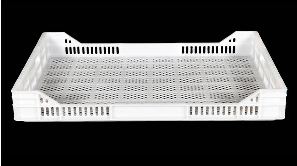 Caja de Plástico 8 para Sector Agrícola 20 kg
