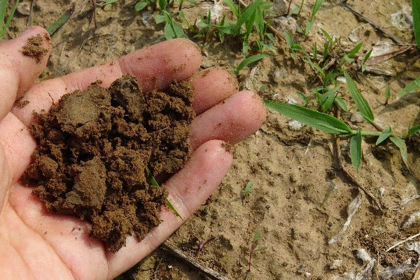 Análisis de Compostas para Agricultura