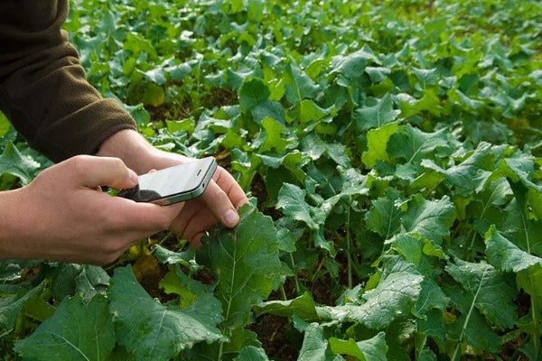 Análisis de Tejido Vegetal para Agricultura
