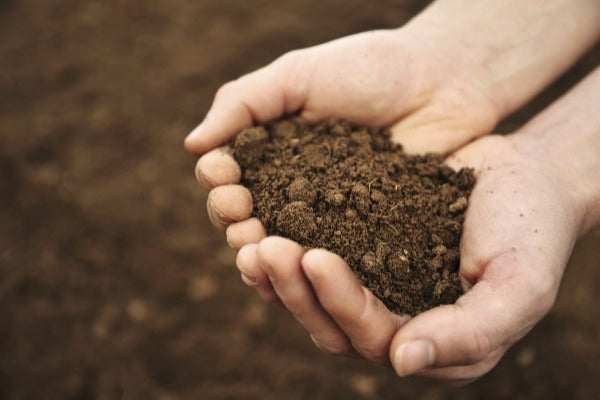 Análisis de Suelo para Agricultura