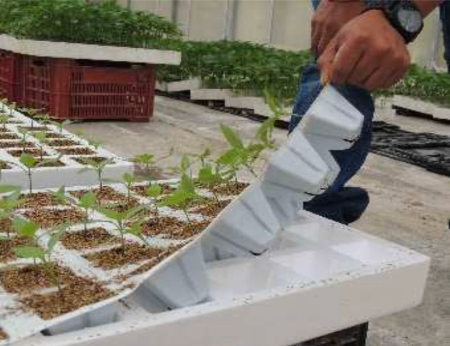 Fundas para Charolas de Unicel