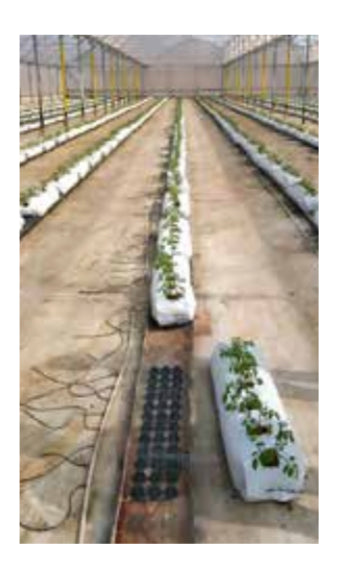 Spacer - Espaciador para Slabs y Bolis de Coco