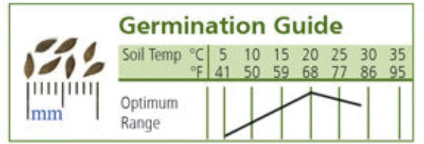 Bluerock -  Semilla de Lechuga Pelletizada Orgánica