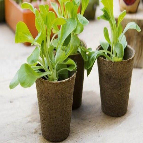 macetas de turba organica biodegradables