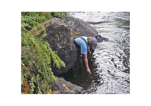 Hobo UTBI-001 - Datalogger de Temperatura del Agua TidbiT v2