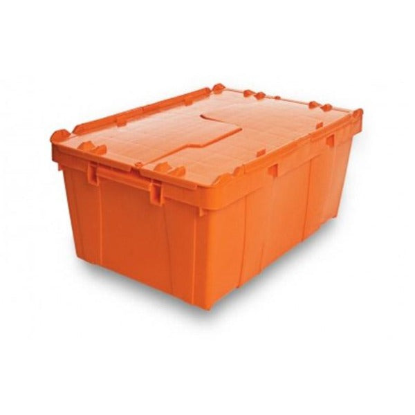 Caja de Plástico Baja 20 kg con Tapas Dobles